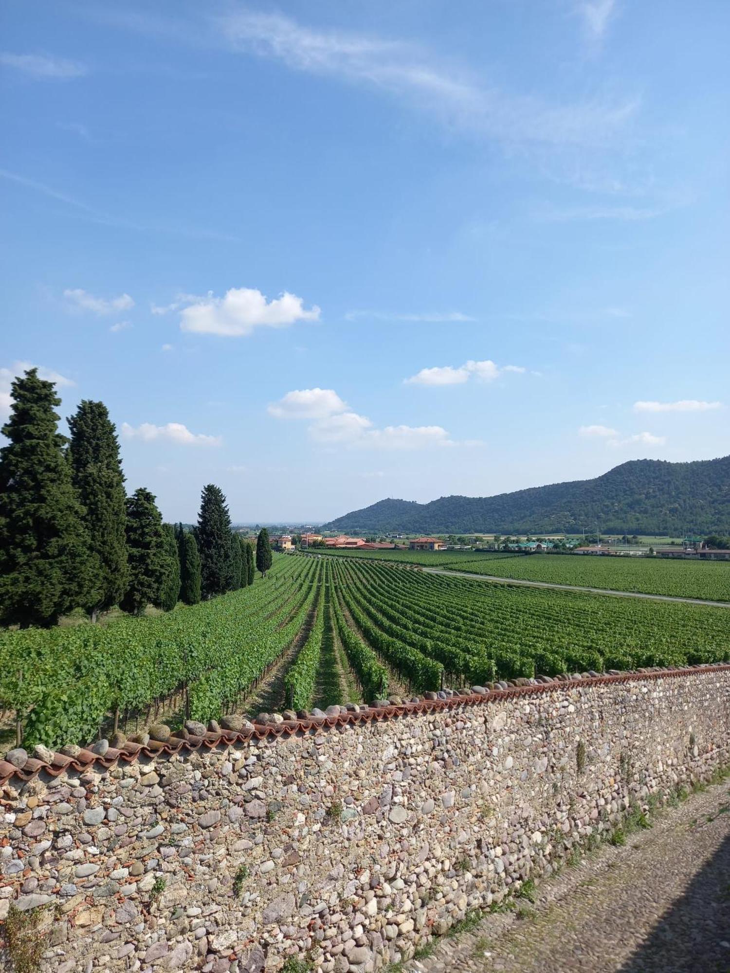 Апартаменти La Corte Del Bona - Vicino Alle Cantine E A Circa 15 Minuti Dal Lago Di Iseo - Ербуско Екстер'єр фото
